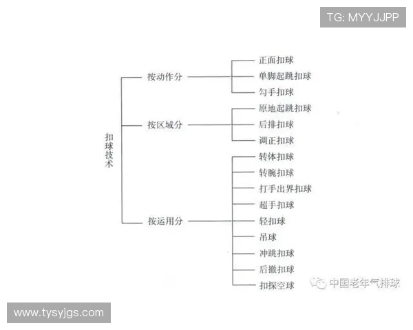 排球技术入门：基础动作与训练方法全解析